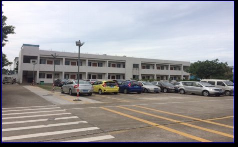 图片展示